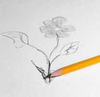 flor desenhada a lápis foto