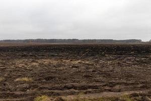 paisagem agrícola, campo foto