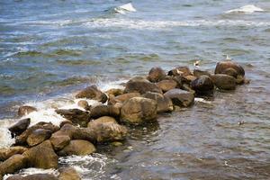 ondas do mar, close-up foto