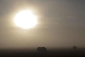 o sol brilhando no céu foto