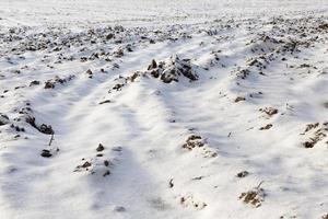 campo arado sob neve foto