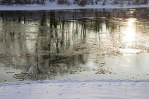 árvores de folha caduca refletidas na água foto