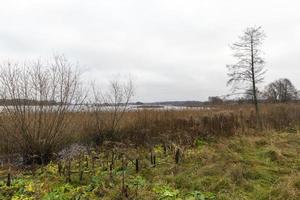 paisagem de outono perto do lago foto