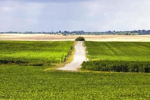 uma estrada pavimentada na areia foto