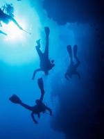 mergulhadores em um recife foto