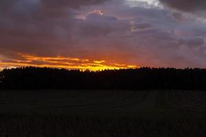 pôr do sol contra a floresta foto