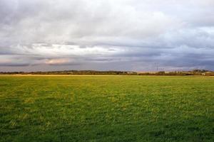 paisagem de verão, céu foto