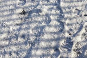 neve branca, close-up foto