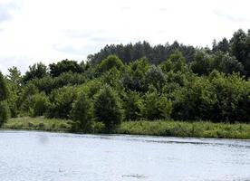 lago com água suja no verão foto