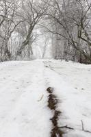 a estrada está coberta de neve no inverno foto
