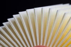 novo filtro de papel para purificação do ar foto