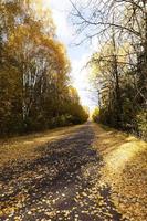 estrada na temporada de outono foto