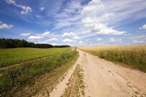 a estrada rural foto