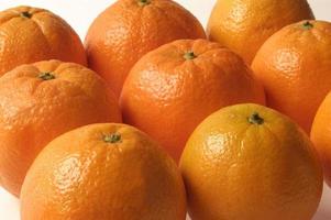 naranjas foto
