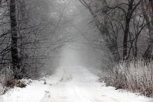 uma estrada coberta de neve no inverno foto