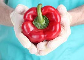 cientista detém um vegetal geneticamente modificado