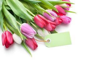 tulipas frescas e tag com espaço de cópia foto