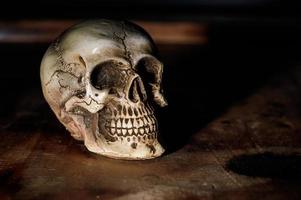 crânio humano ainda vida fundo
