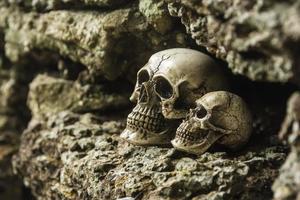 crânio ou esqueleto da fotografia humana foto