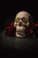 crânio humano contrastado com rosas