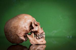 crânio humano resistido com imagem de espelho sobre fundo verde, sti