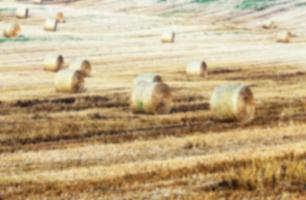 agricultura, não em foco foto