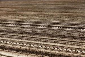 campo agrícola vazio foto