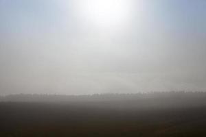 campo e árvores no nevoeiro de outono foto