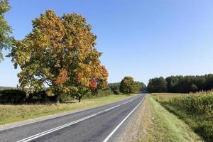 estrada, temporada de outono foto
