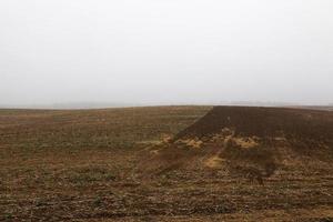 arado para semear a terra foto