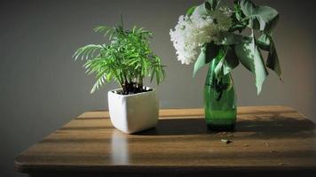 planta verde e vaso lilás em uma mesa, decoração de casa foto