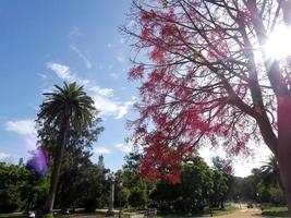 parque ou jardins da cidadela na cidade de barcelona foto