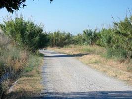 estrada de terra solitária com vegetação seca em seus lados foto