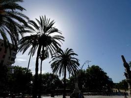 palmeiras em silhueta contra um fundo de céu azul foto