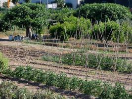 jardins urbanos muito perto da cidade de barcelona na região de baix llobregat. foto