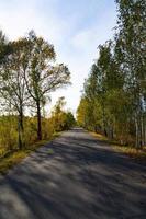 outono, uma árvore solitária à beira da estrada na europa. cenário foto