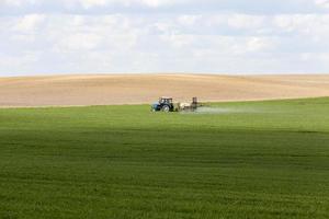 culturas agrícolas de trigo durante o processamento com um trator de parasitas foto