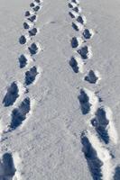 pegadas e amassados na neve foto