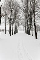 estrada de inverno, neve foto