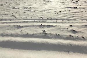 campo coberto de neve foto