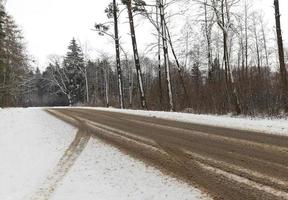 estrada na floresta no inverno foto