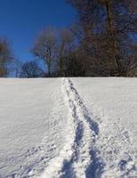 neve flutua no inverno foto