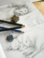 desenho de gatos foto