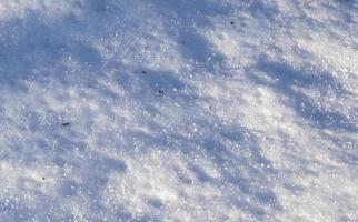 neve deriva na neve do inverno fotografada na temporada de inverno, que apareceu após uma queda de neve. fechar-se, foto