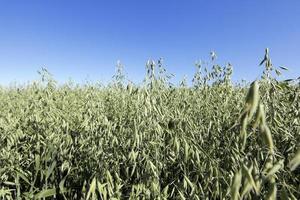 foto agricultura, europa