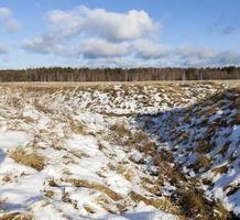 campo após a queda de neve foto