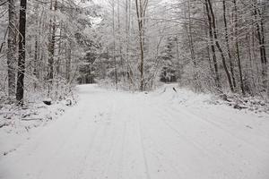 a estrada de inverno foto