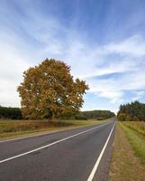a estrada do outono foto