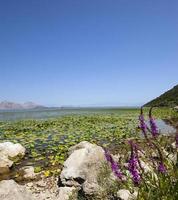 o lago montenegro foto