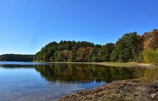 bela folhagem ao redor de um lago no outono foto